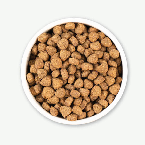 EH_U-RoastedRabbit_KibbleinBowl_Web-600x600_600x600.jpg