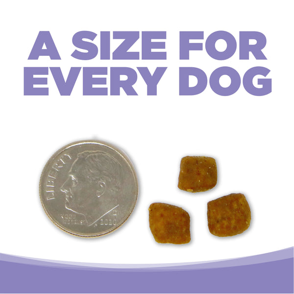 NS_GF_SmallMedPuppy-07_600x600.jpg