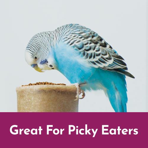 PB_NutriSoft_Enhanced_PickyEaters_Keet_600x600.jpg