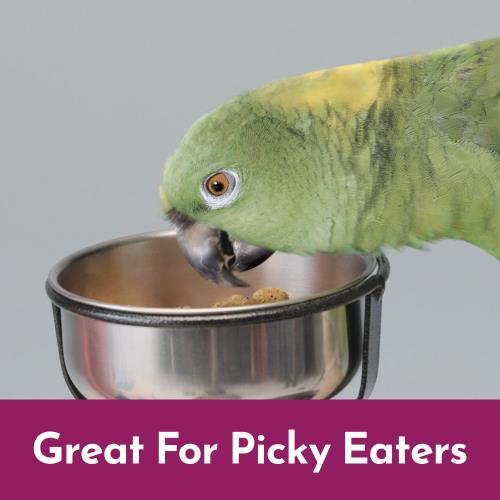 PB_NutriSoft_Enhanced_PickyEaters_Parrot_600x600.jpg