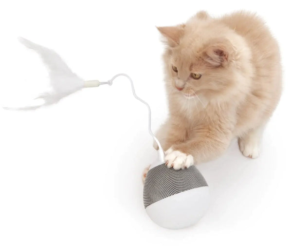 PIXI-Spinner_Cat-claws-1536x1293_jpg_600x600.jpg