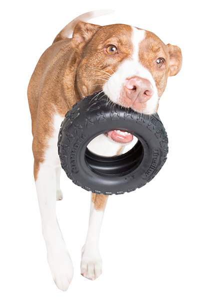 Tirebiter_NextGeneration_Lifestyle-1_600x600.png