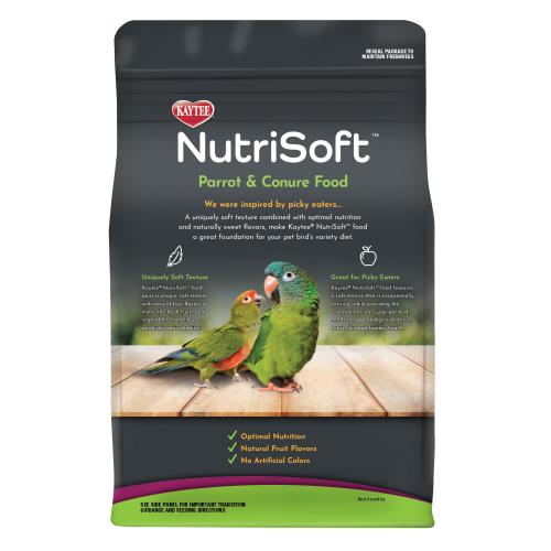 parrot-conure-back_600x600.jpg